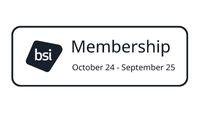 BSI - LOGO